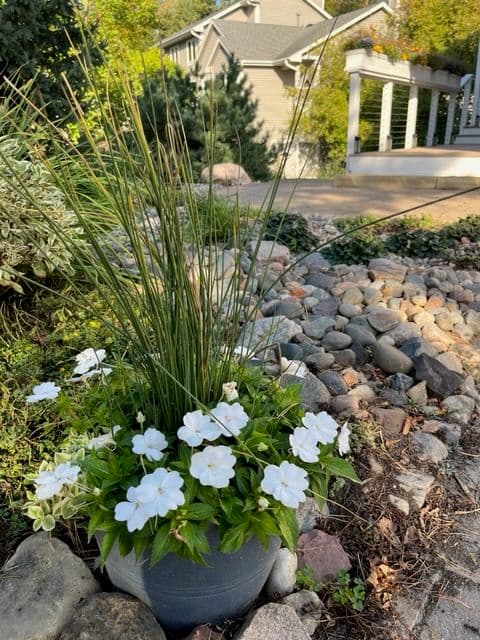 Project Get Your Garden Ready with Walker Outdoor Solutions image