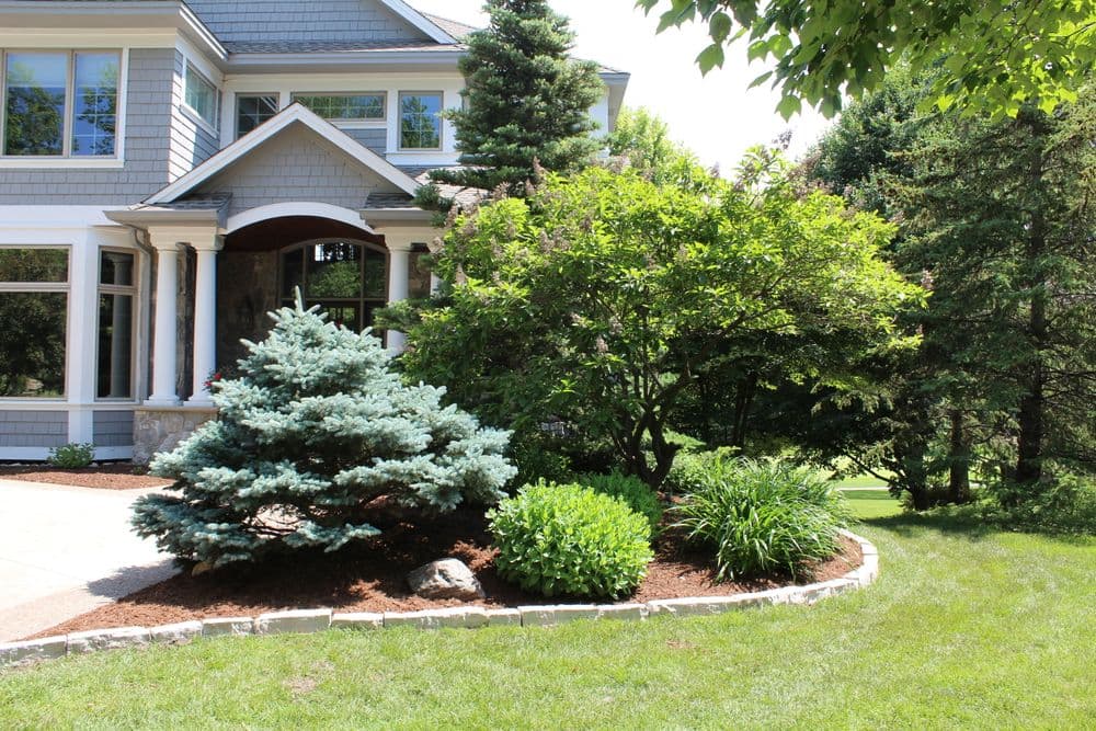 Lush garden landscape with trees and shrubs near a modern house exterior.